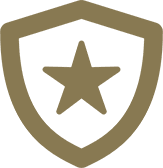Shield with star emblem on black background.
